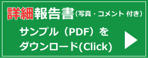 詳細報告書のサンプル